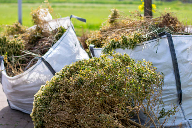 Best Shed Removal  in Gothenburg, NE