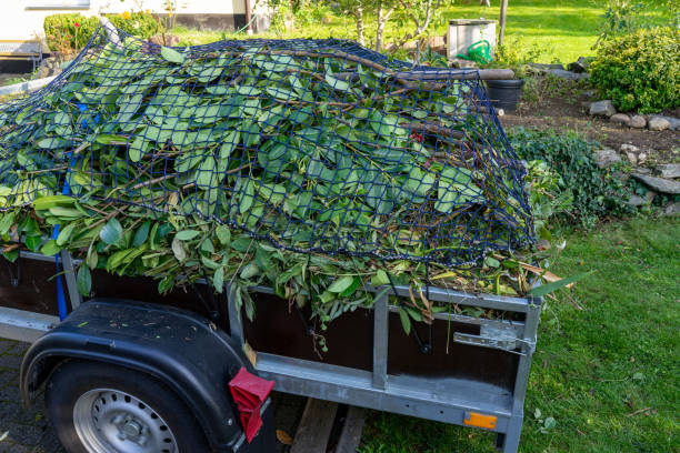 Best Carpet Removal and Disposal  in Gothenburg, NE